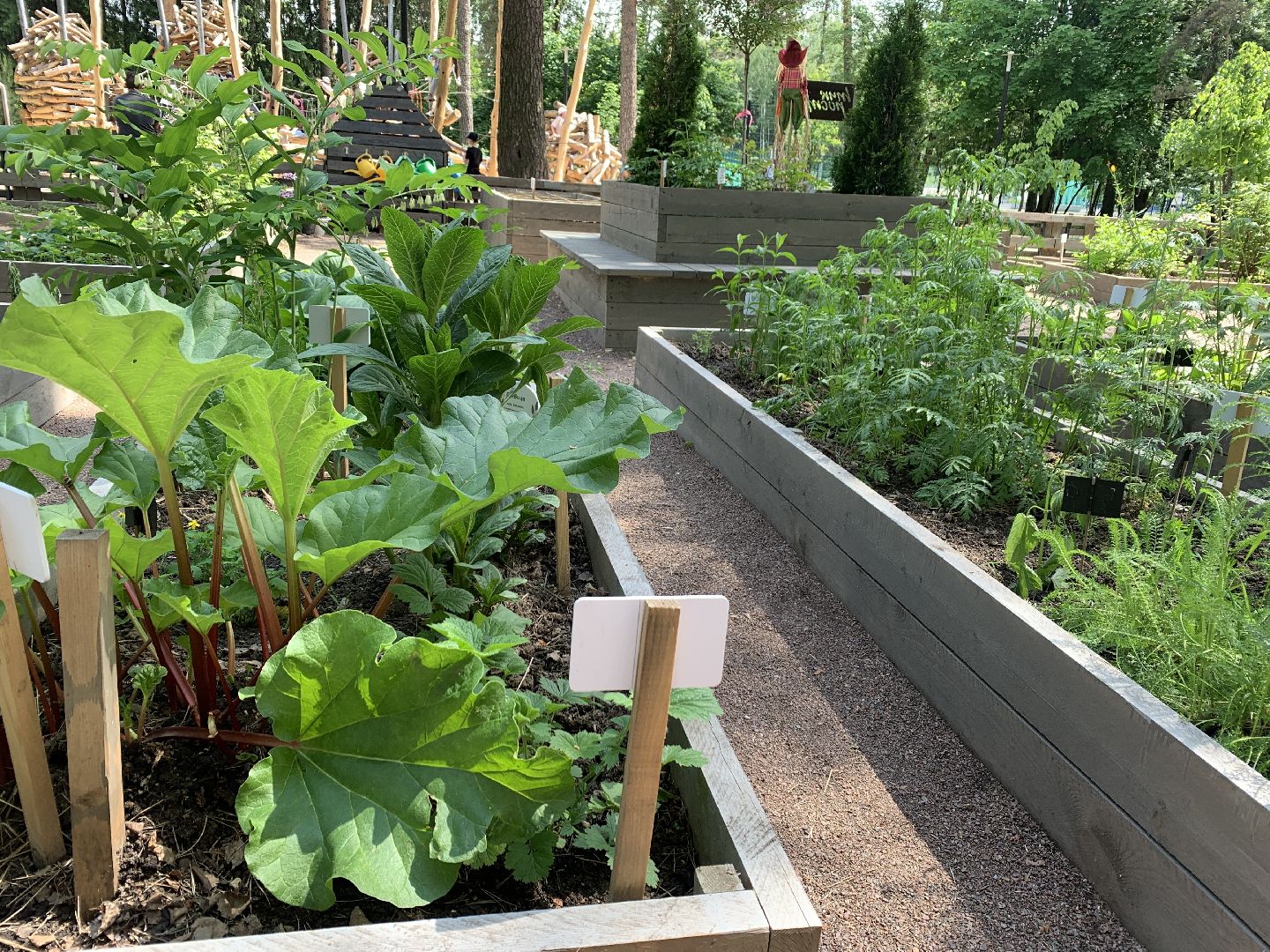 Балашиха, Подмосковье, благоустройство,Общественный огород, парки