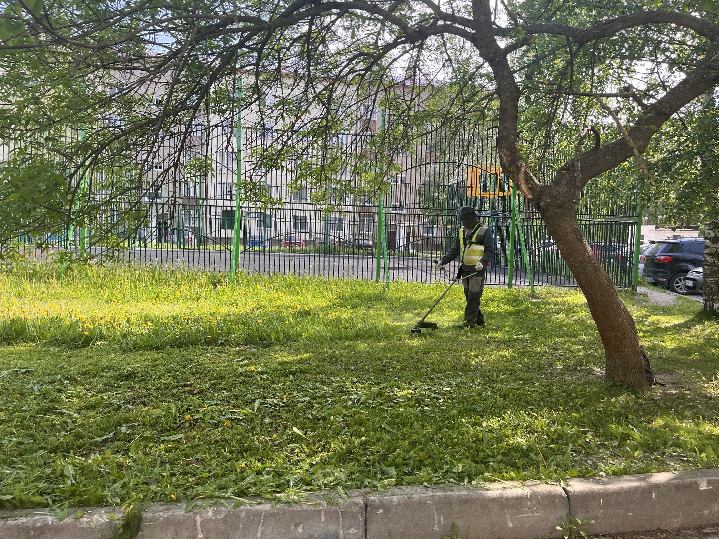 Шаховская, покос травы, мбу