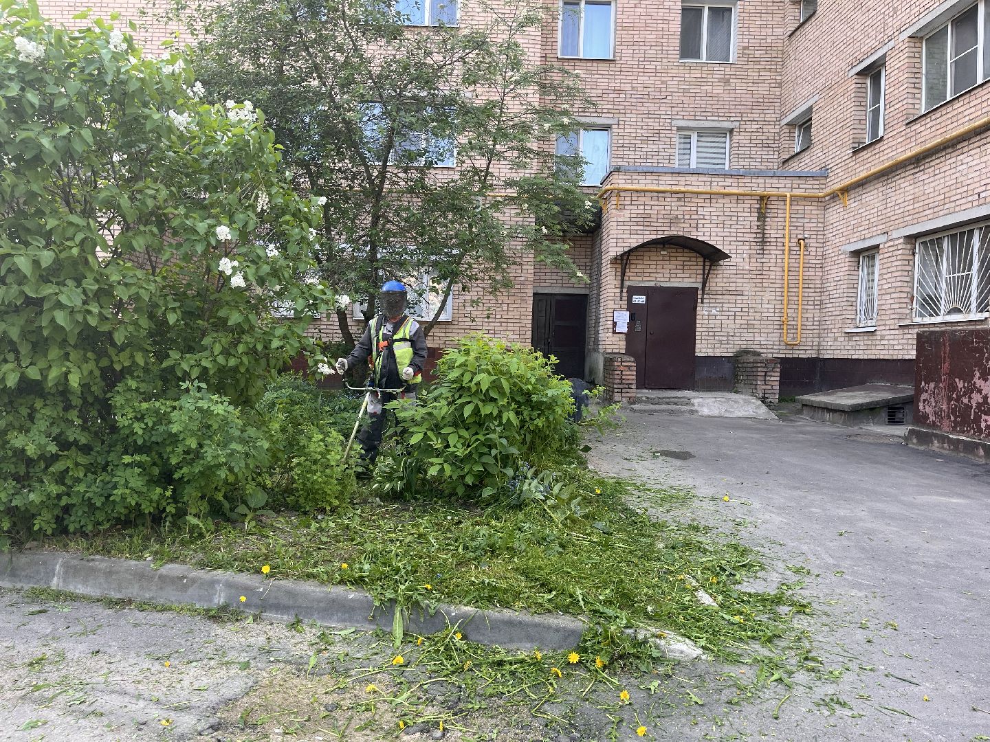 Шаховская, покос травы, мбу