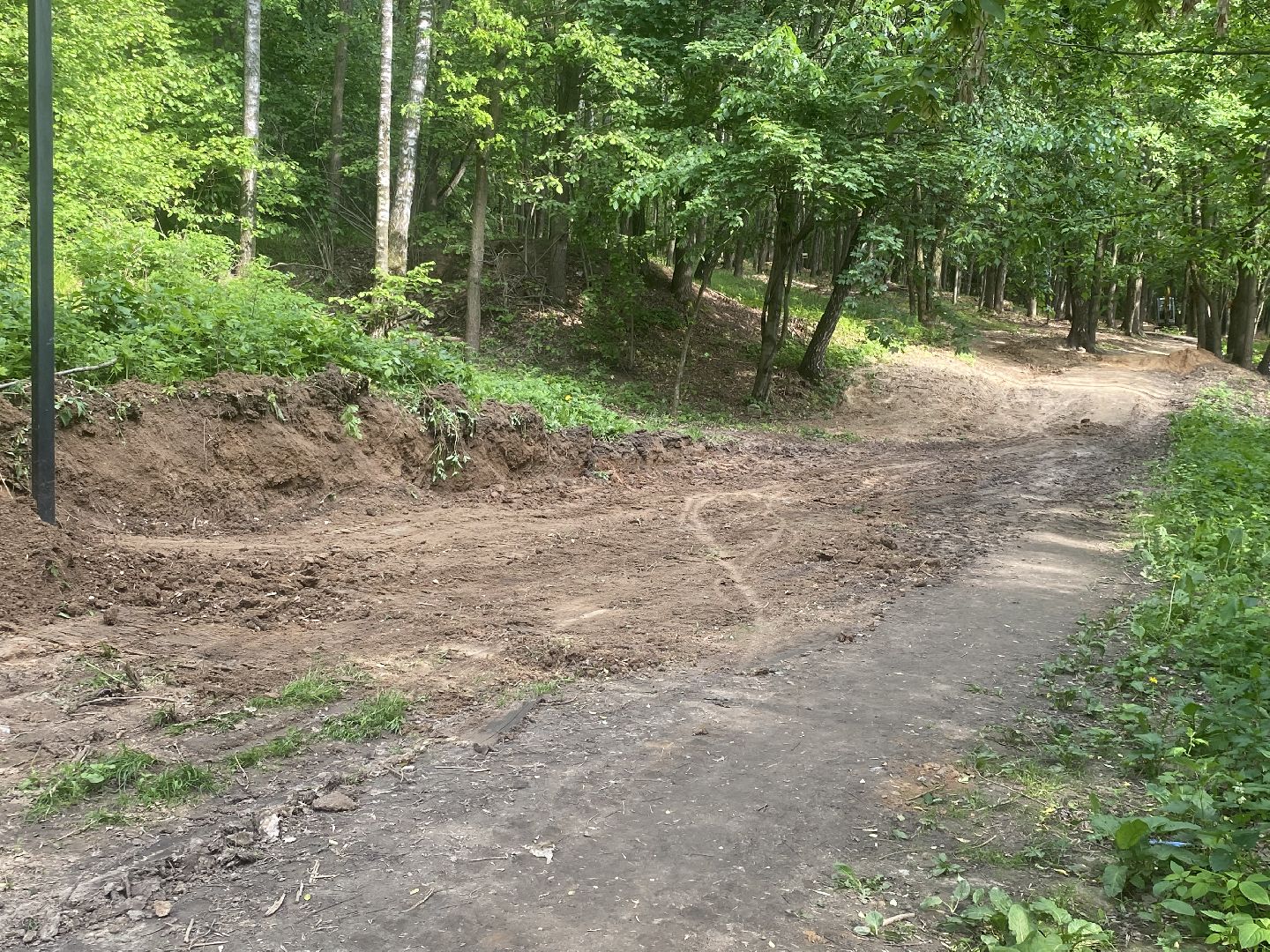 Химки, каршеринг автомобиль, лес