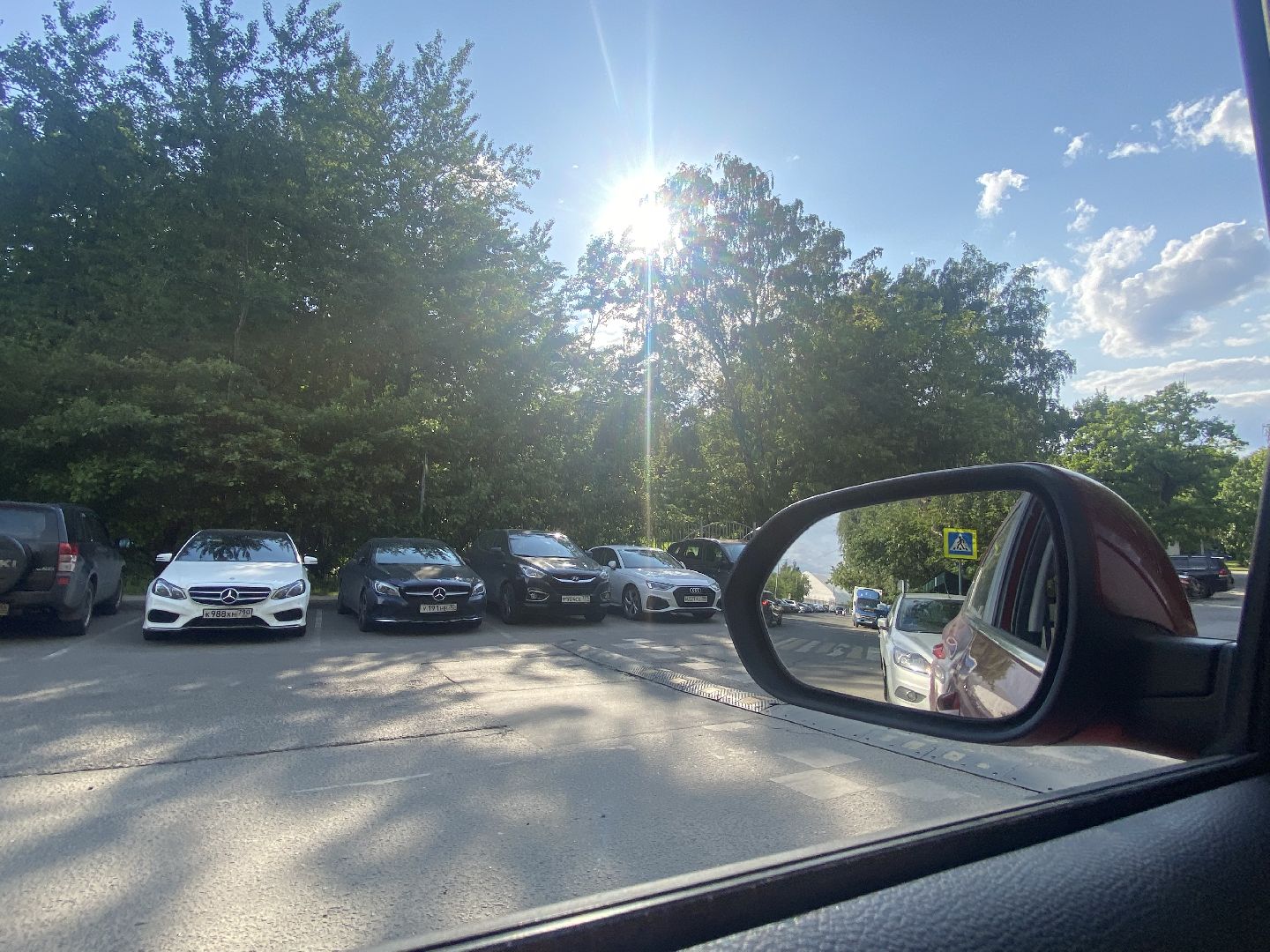 Химки, каршеринг автомобиль, лес