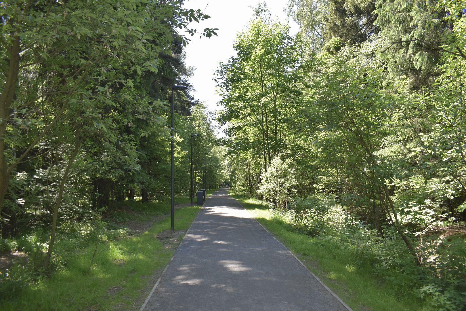 Балашиха, Подмосковье, благоустройство, парки, Ольгинский лесопарк, депутаты, Тарас Ефимов