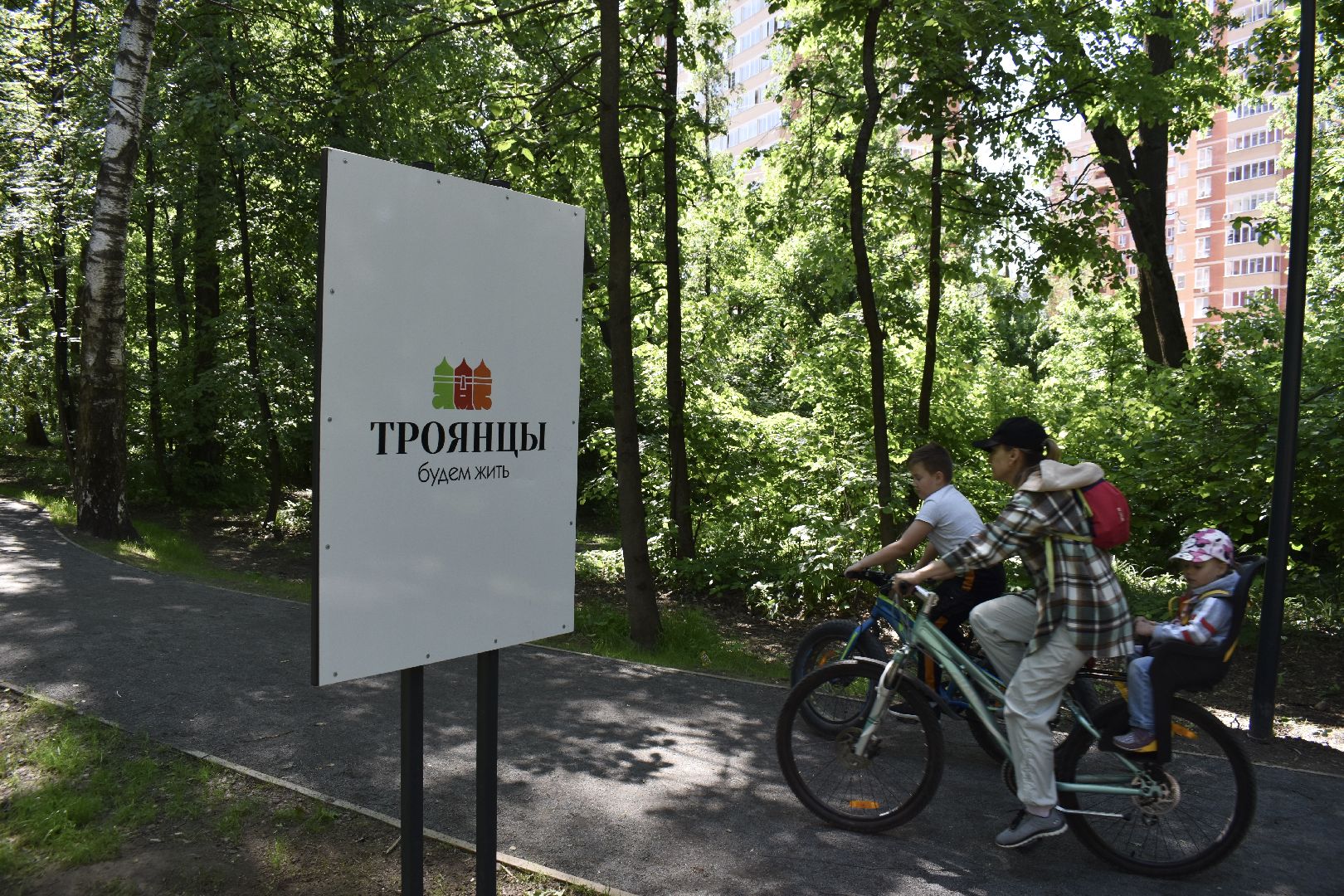 Балашиха, Подмосковье, благоустройство, парки, Ольгинский лесопарк, депутаты, Тарас Ефимов