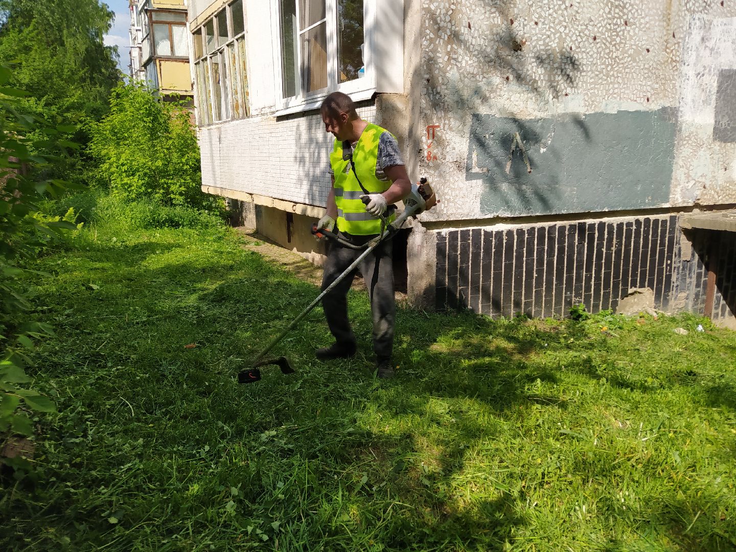 Покос, трава, благоустройство