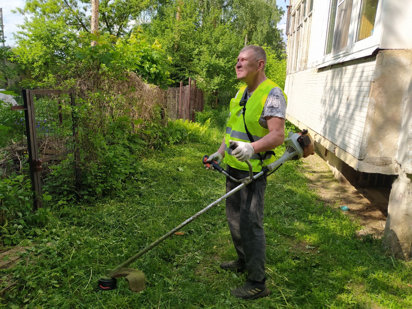 Покос, трава, благоустройство
