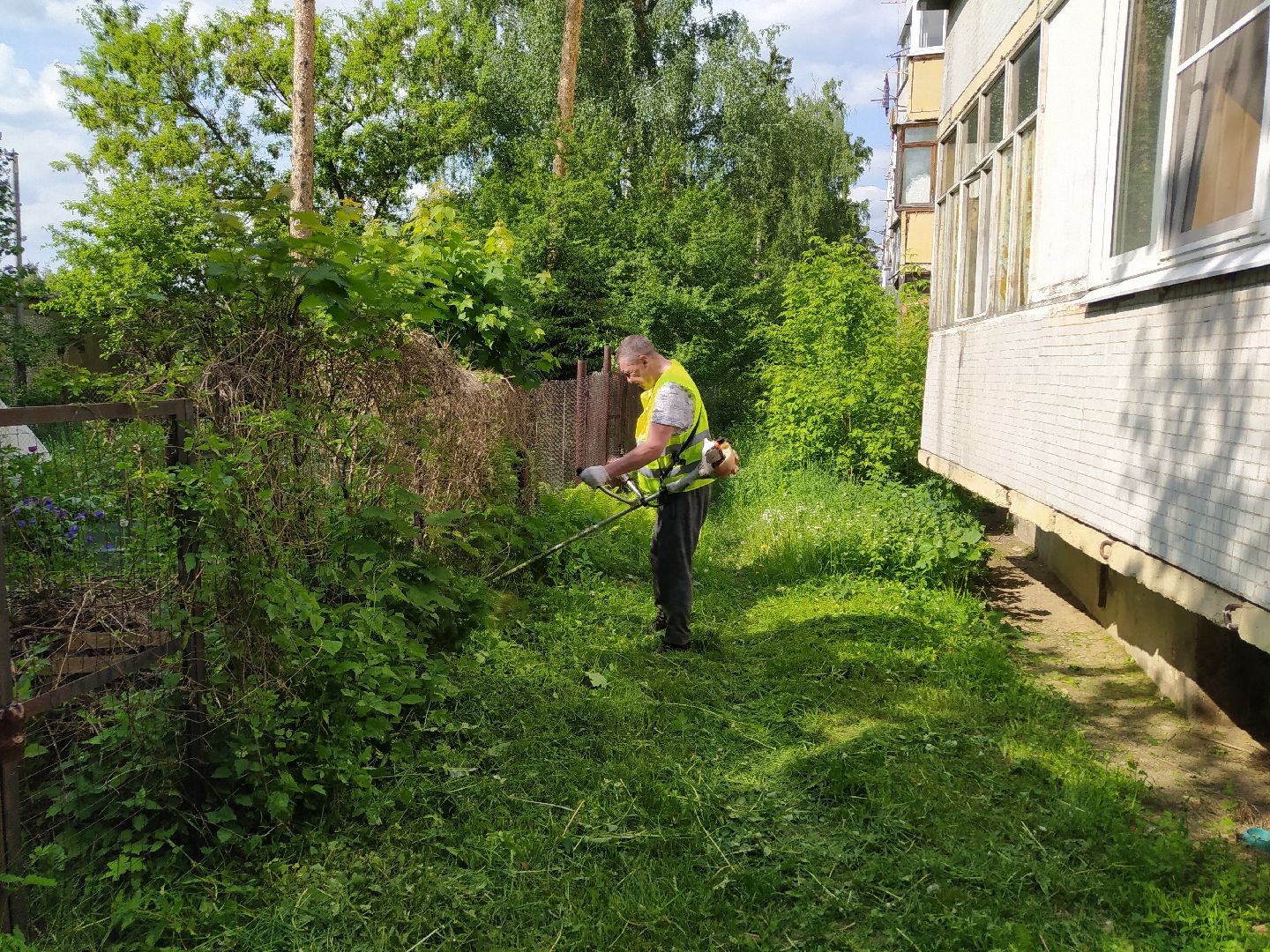 Покос, трава, благоустройство