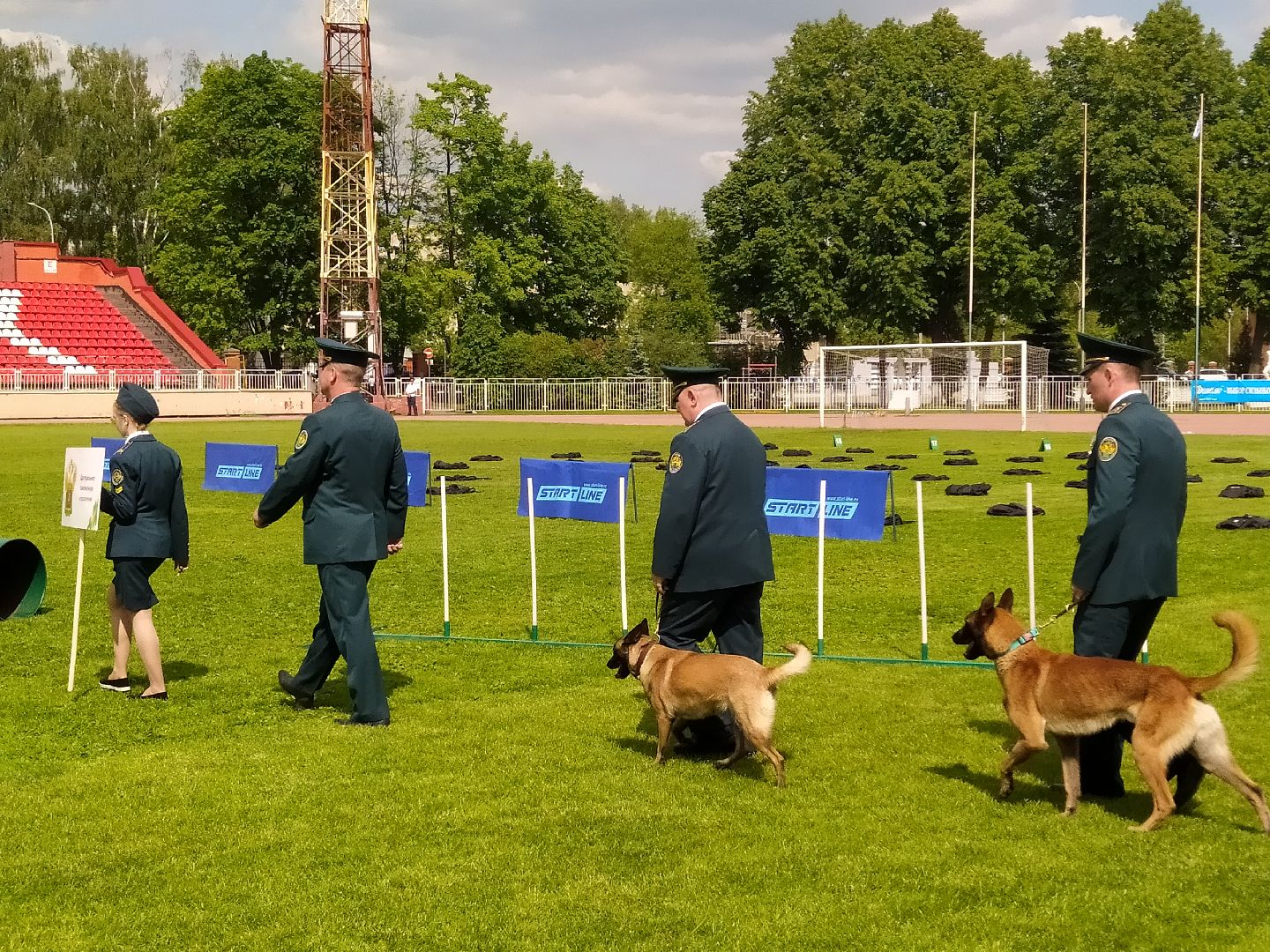 Кинолог, служба, таможня, ФТС, Чемпионат