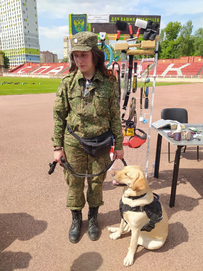 Кинолог, служба, таможня, ФТС, Чемпионат