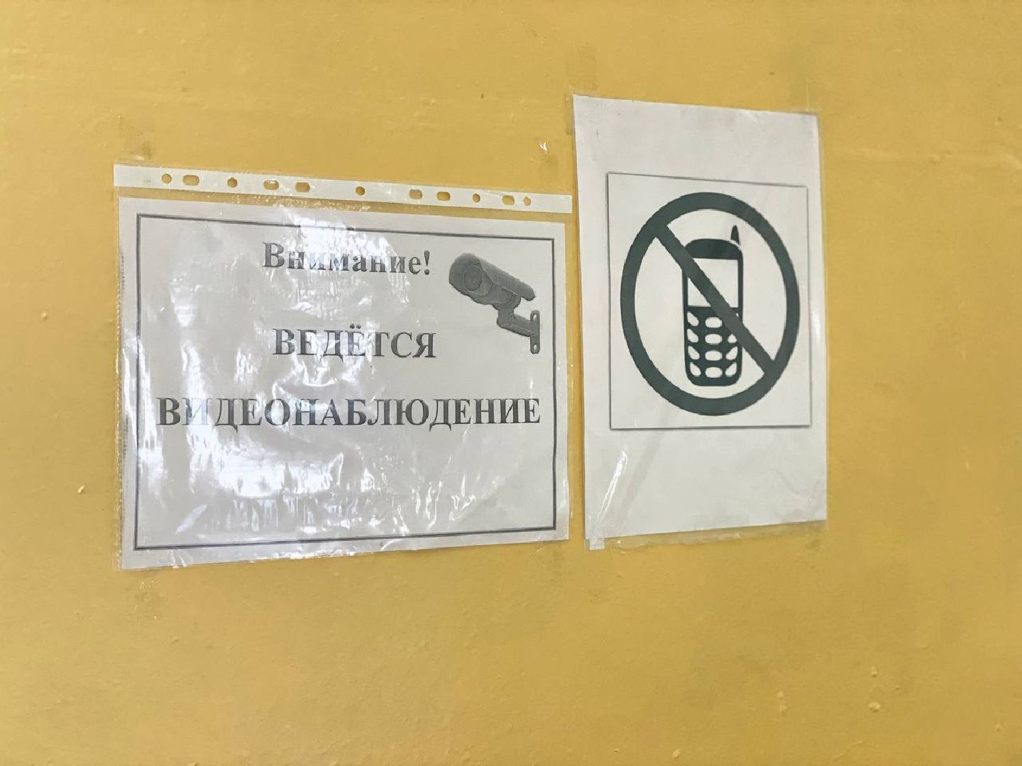 Сергиев Посад, Сергиево-Посадский городской округ, Образование, ЕГЭ, Школьники, Экзамены