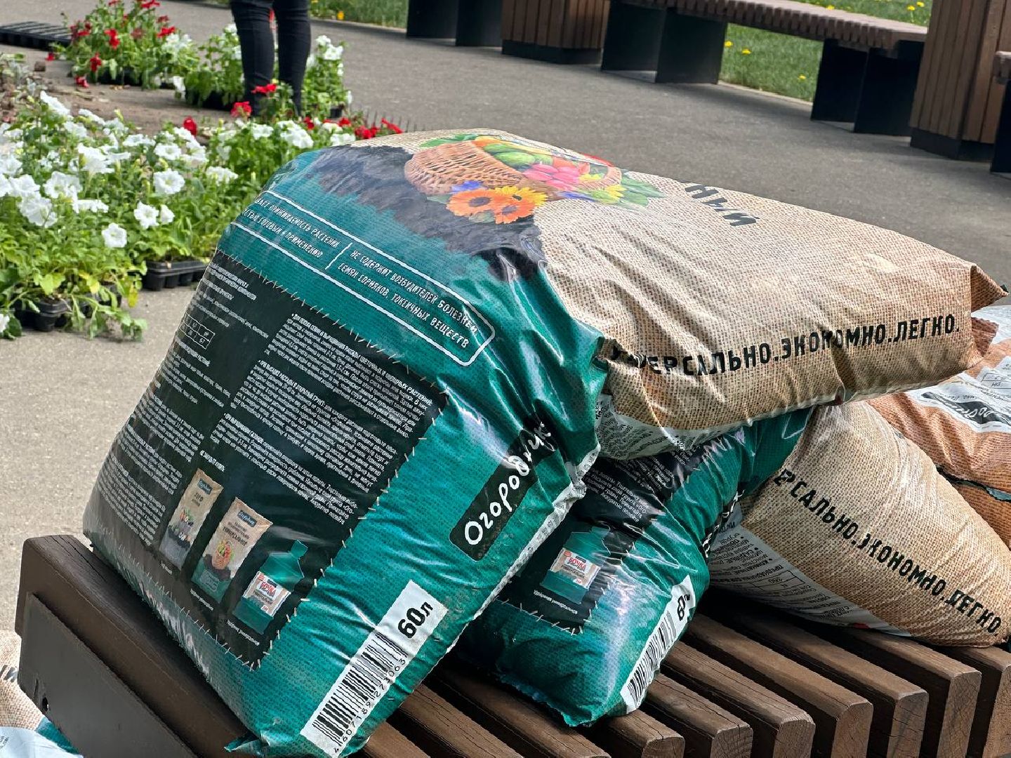 Можайск, Можайский городской округ, Подмосковье, цветы, благоустройство