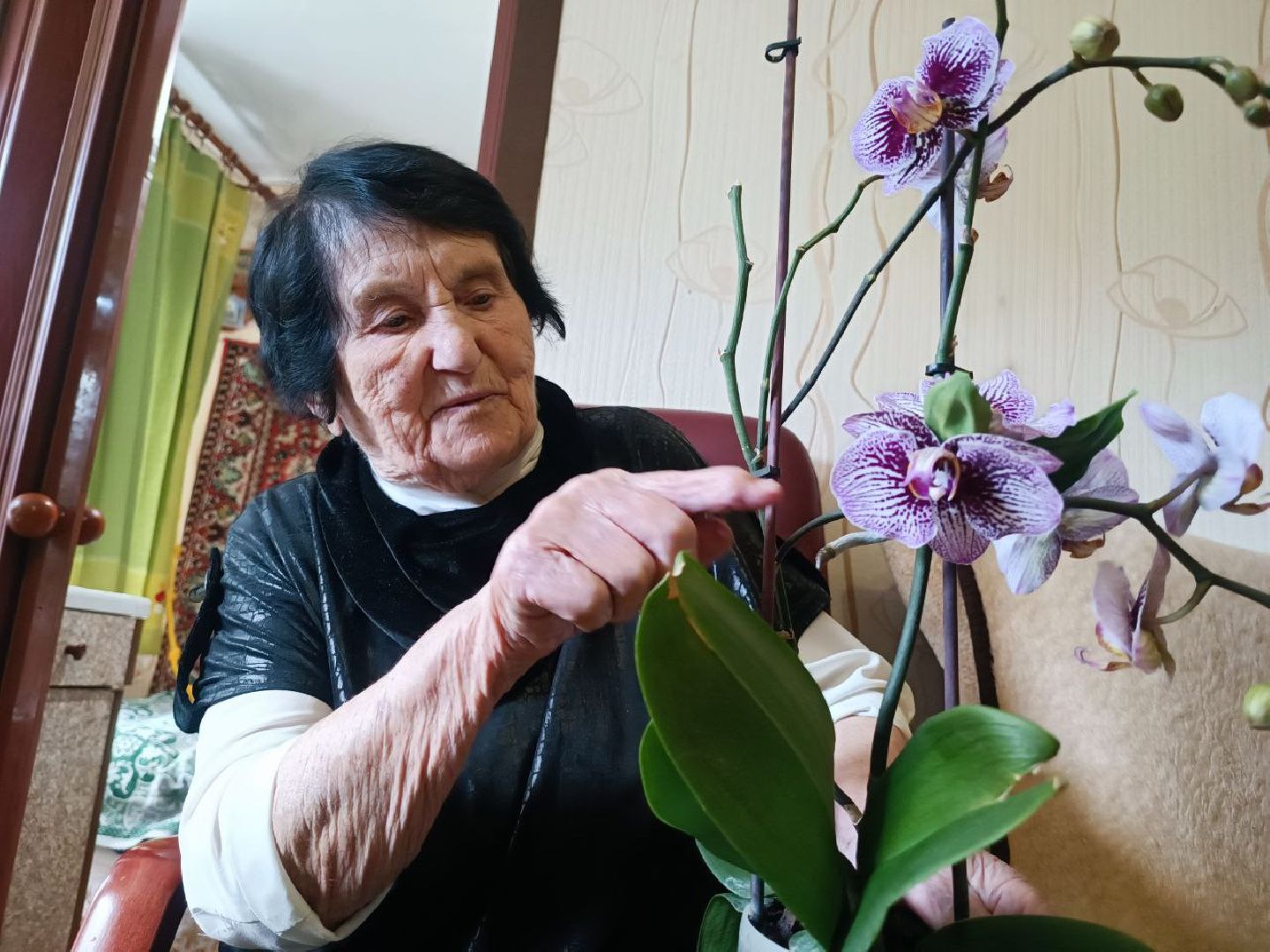 Можайский городской округ, Можайск, Подмосковье, долголетие, люди, секреты долголетия