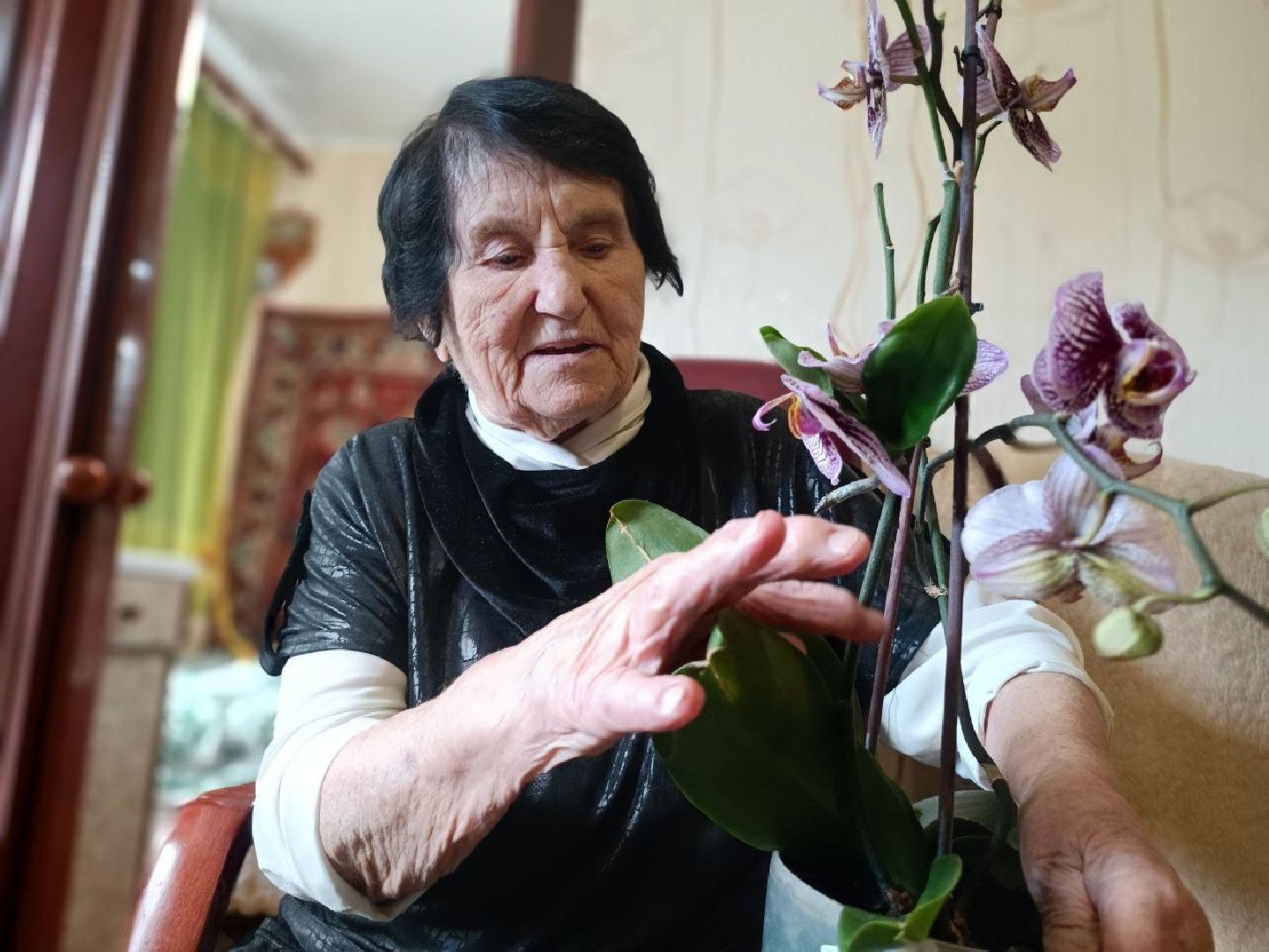 Можайский городской округ, Можайск, Подмосковье, долголетие, люди, секреты долголетия