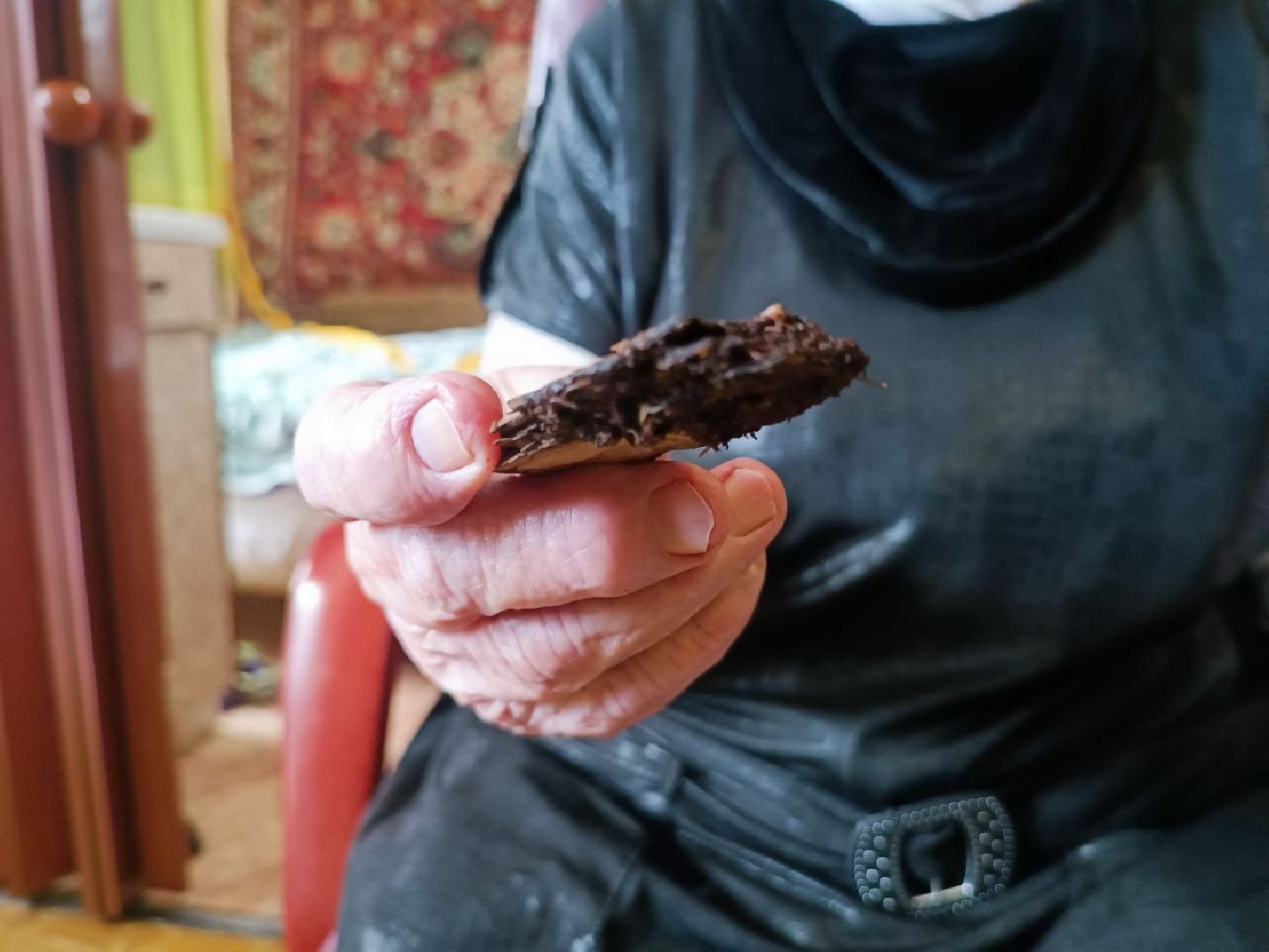 Можайский городской округ, Можайск, Подмосковье, долголетие, люди, секреты долголетия