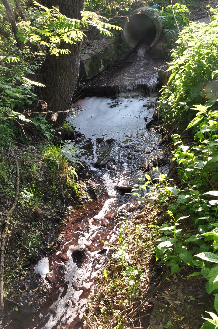 реки, серпухов, канализация, деревня ивановское, река тюлька, экология,