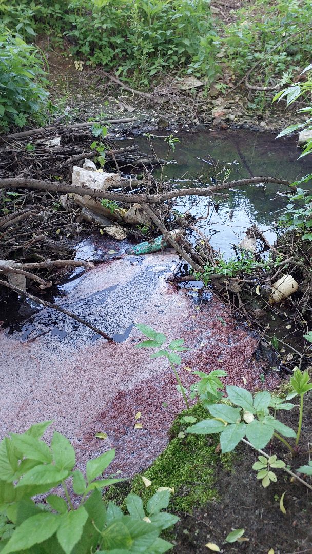 реки, серпухов, канализация, деревня ивановское, река тюлька, экология,