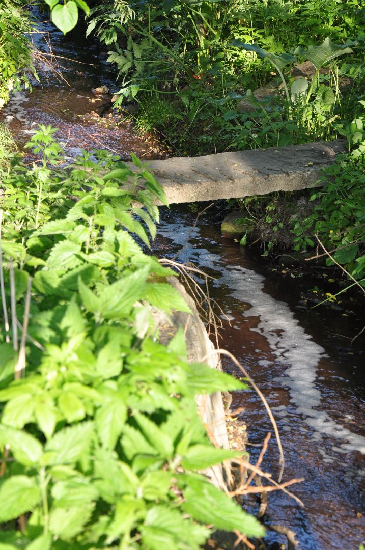 реки, серпухов, канализация, деревня ивановское, река тюлька, экология,