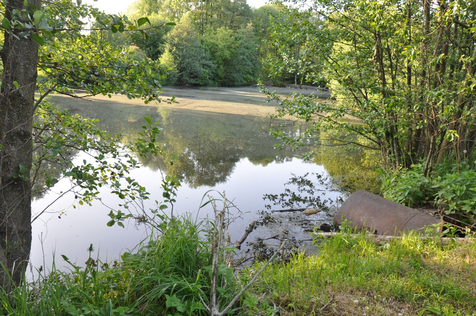реки, серпухов, канализация, деревня ивановское, река тюлька, экология,