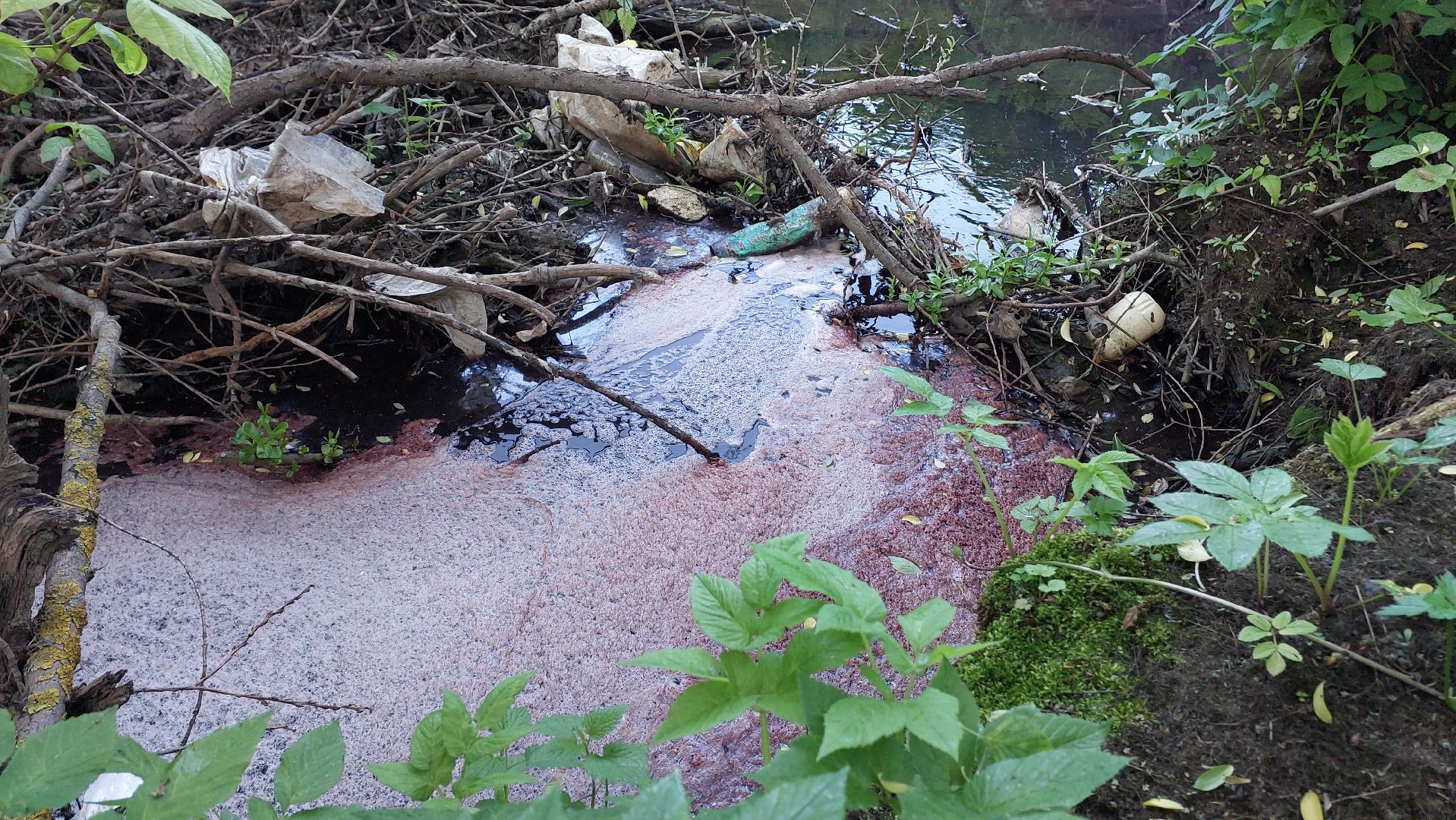 реки, серпухов, канализация, деревня ивановское, река тюлька, экология,