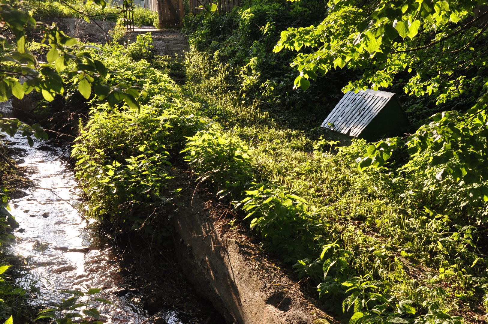 реки, серпухов, канализация, деревня ивановское, река тюлька, экология,