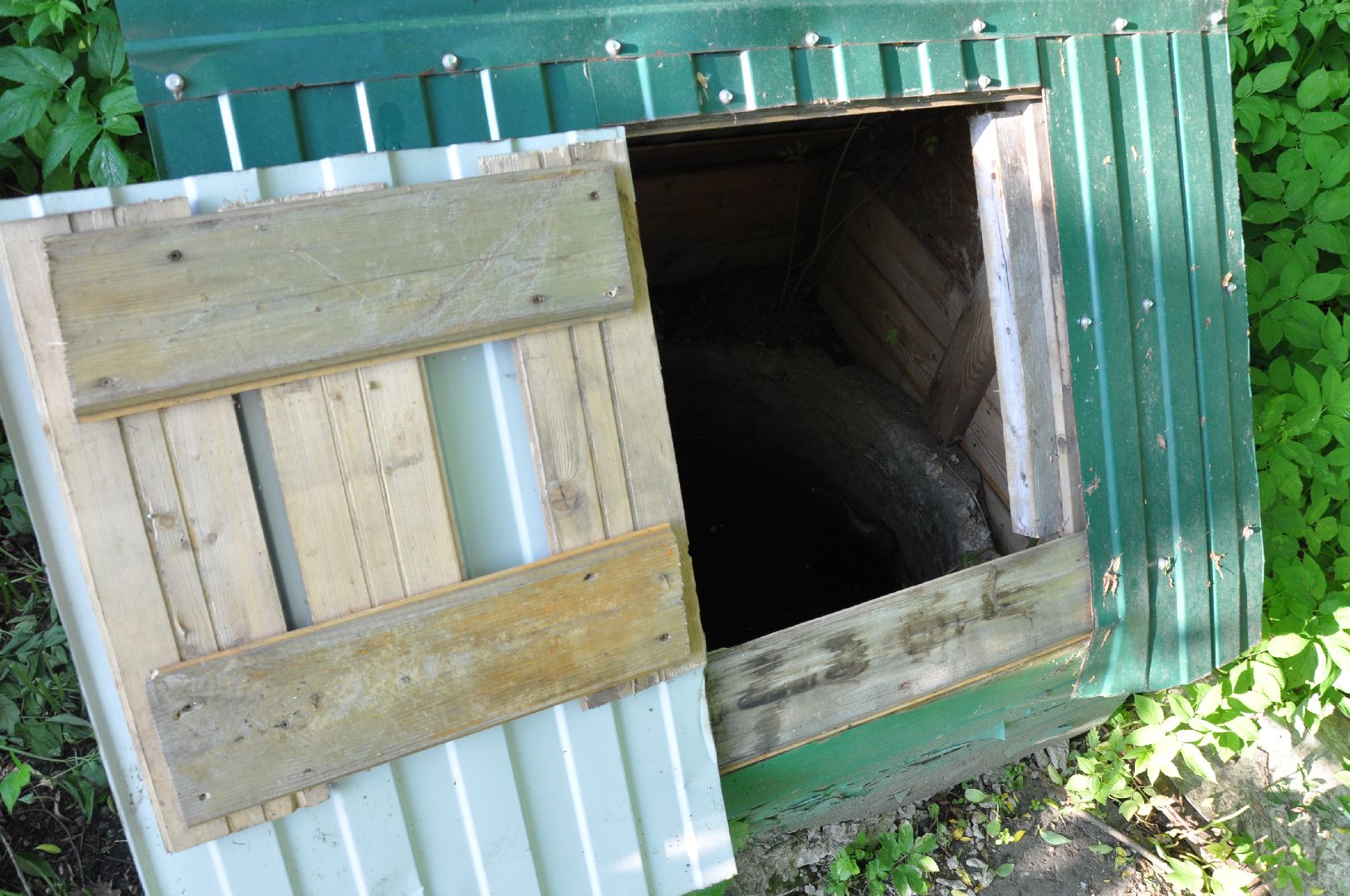 реки, серпухов, канализация, деревня ивановское, река тюлька, экология,