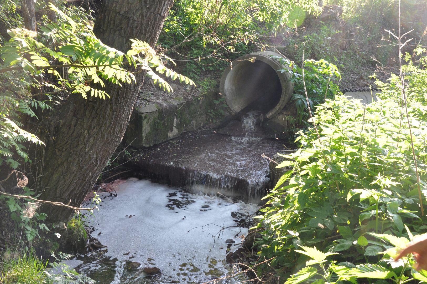 реки, серпухов, канализация, деревня ивановское, река тюлька, экология,