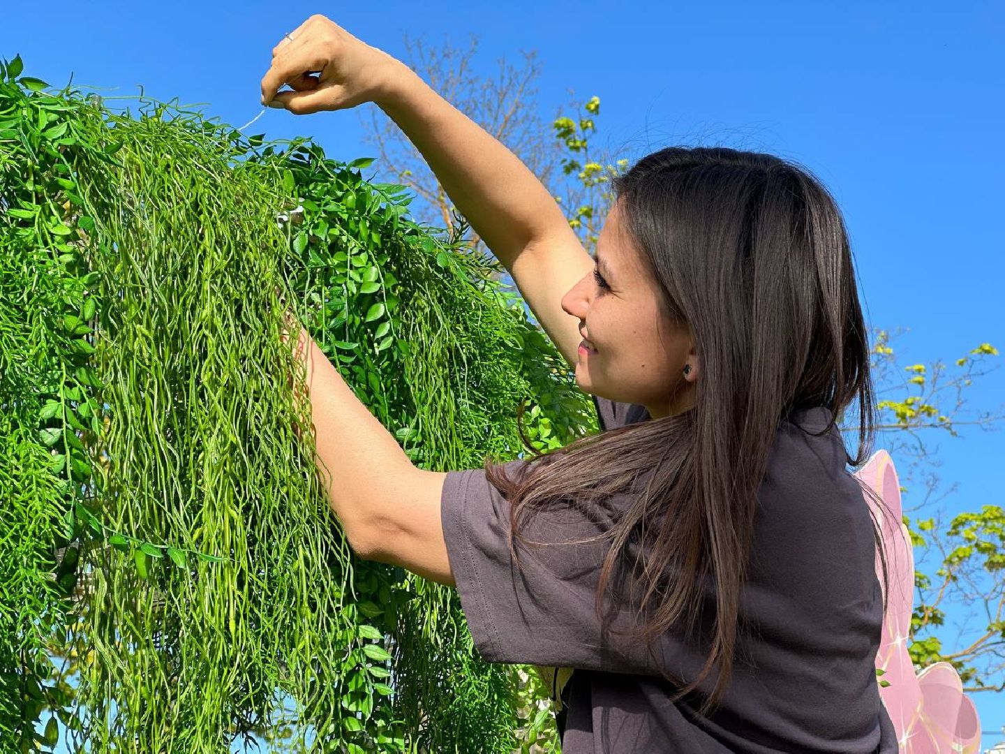 Можайск, Можайский городской округ, Подмосковье, фотозона, цветы, активные жители, фотографии, инсталляция