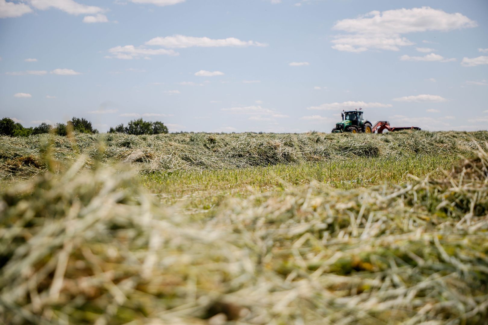 уборка урожая, Домодедово