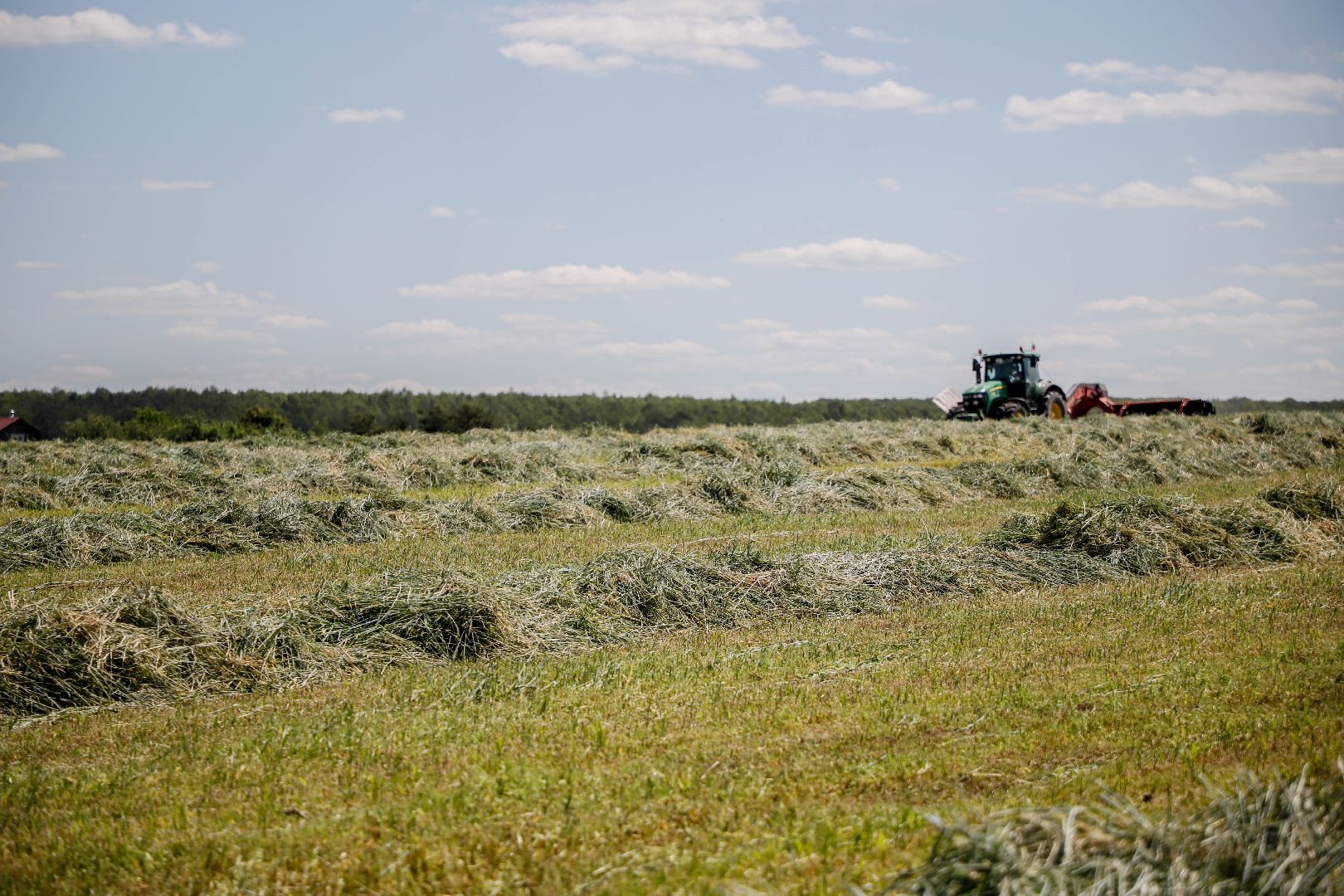 уборка урожая, Домодедово