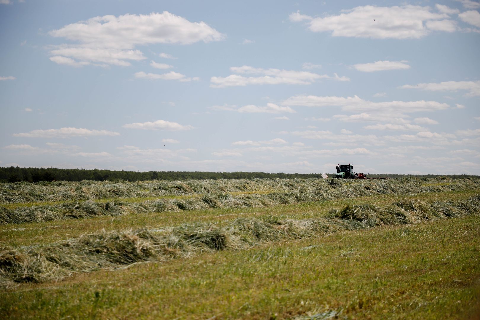 уборка урожая, Домодедово
