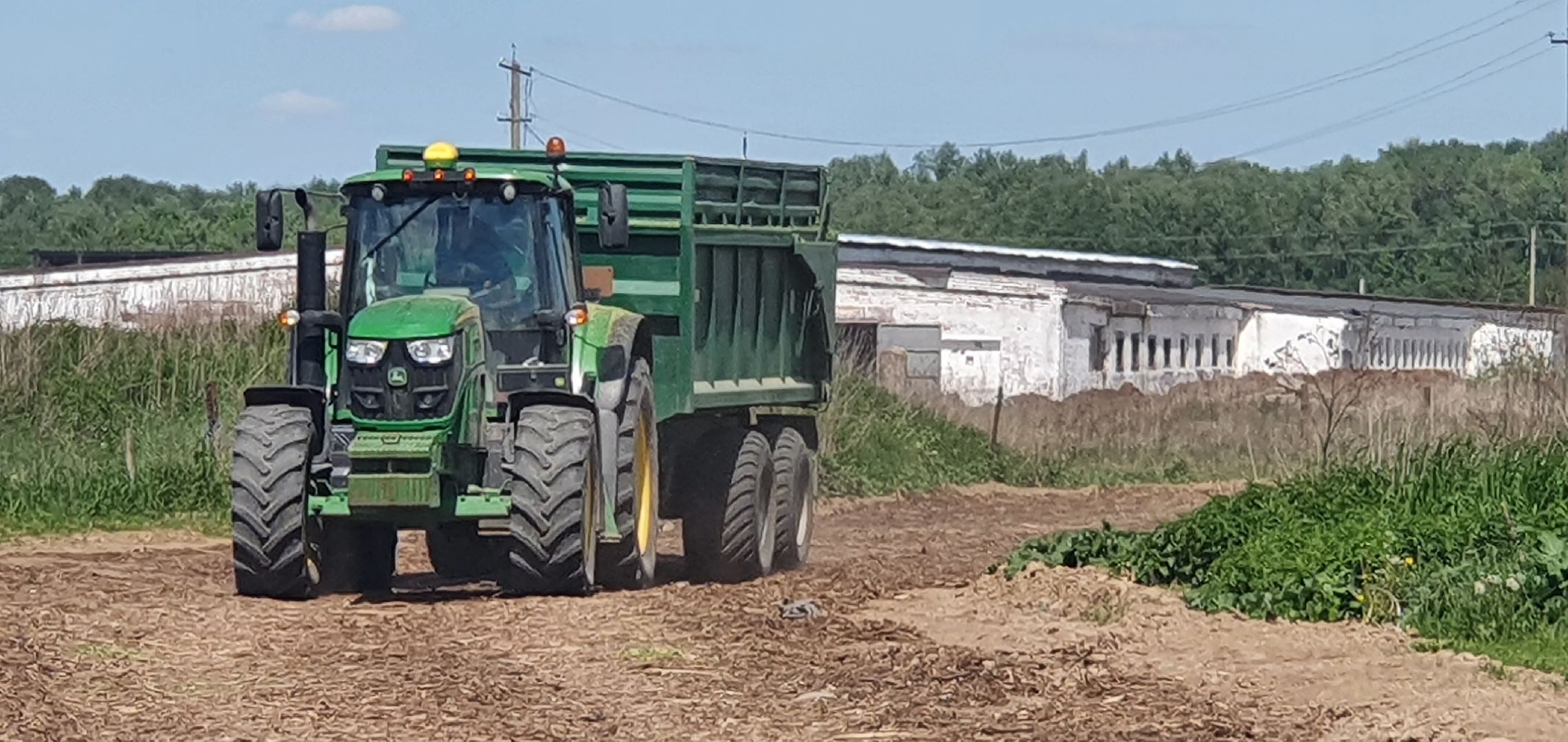 уборка урожая, Домодедово