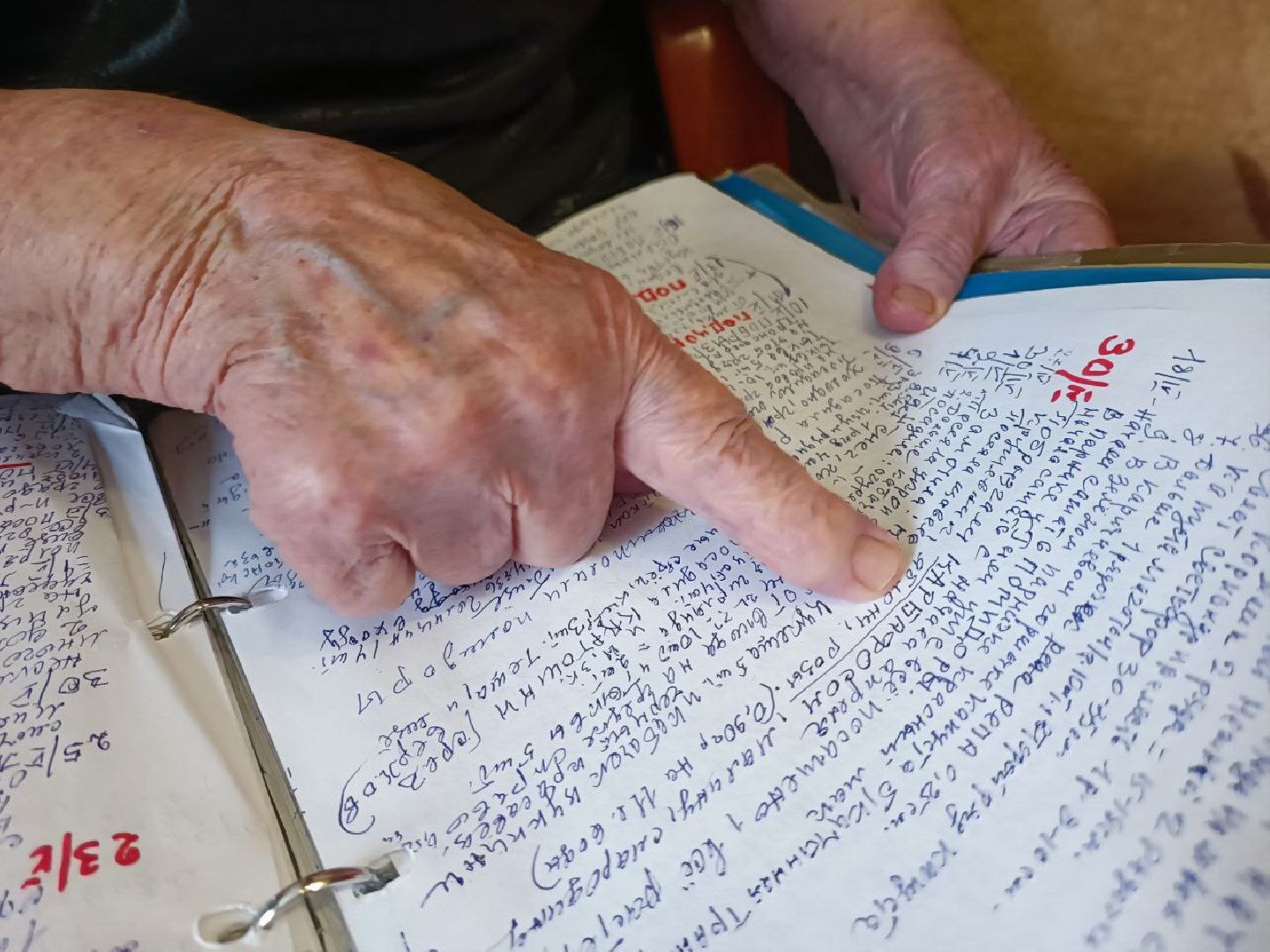 Можайск, Можайский городской округ, Подмосковье, огород, долгожительница, урожай