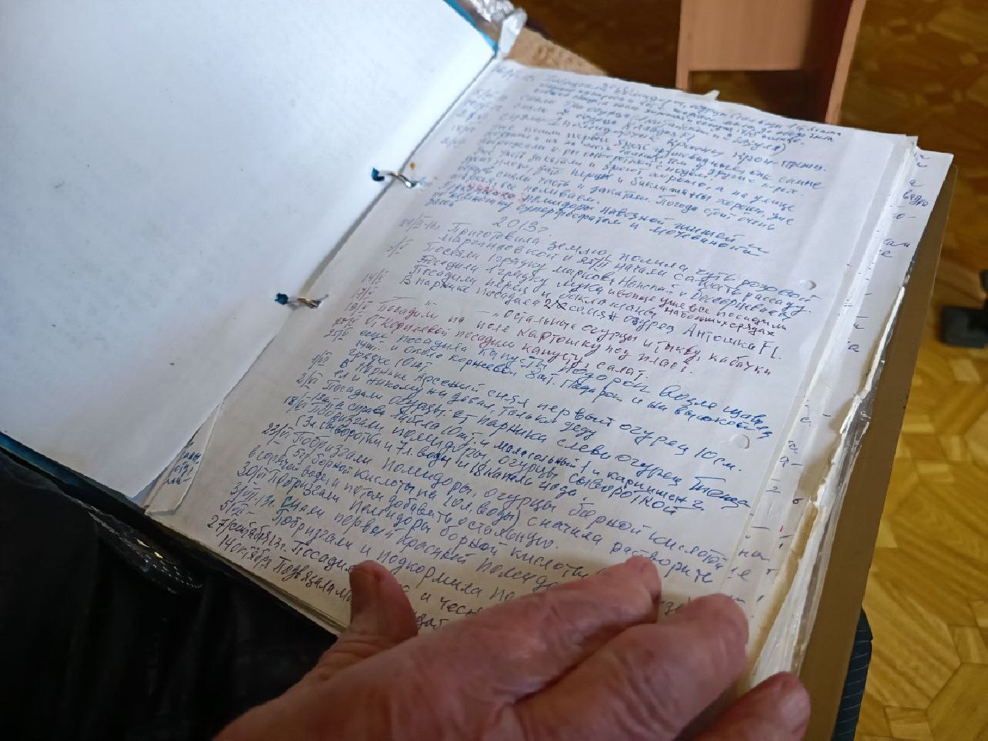 Можайск, Можайский городской округ, Подмосковье, огород, долгожительница, урожай