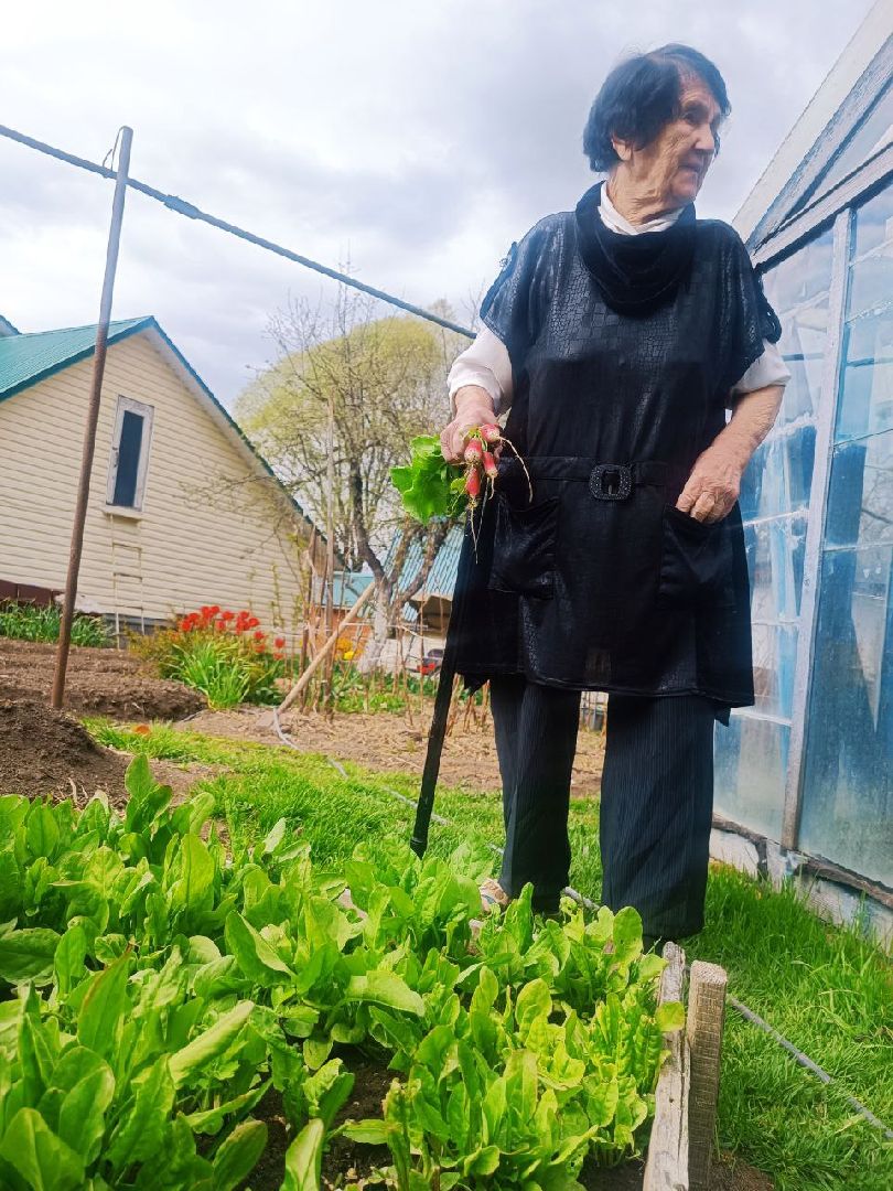 Можайск, Можайский городской округ, Подмосковье, огород, долгожительница, урожай