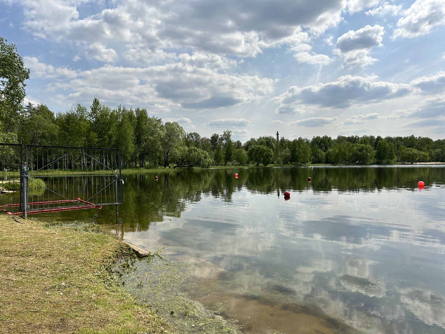 Купальный сезон, проверка, Фрязино