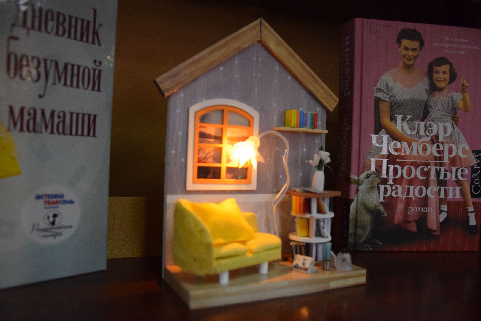 Павловский Посад, городской округ Павловский Посад, книги, творчество, миниатюра