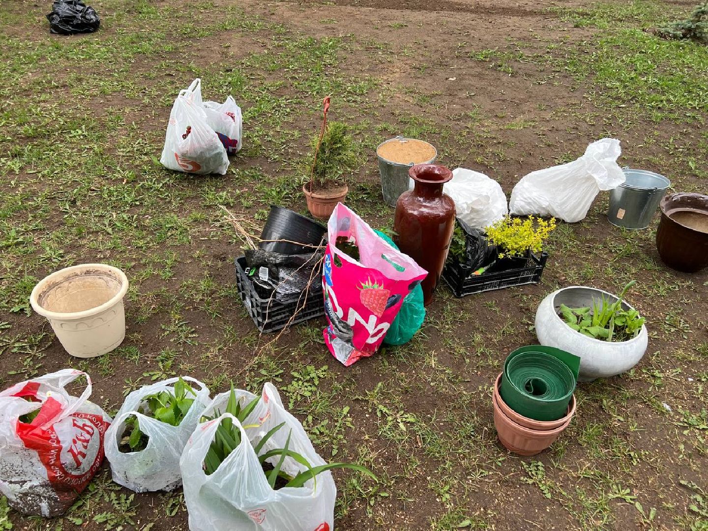 Солнечногорск, конкурс, клумба, кадеты, родители