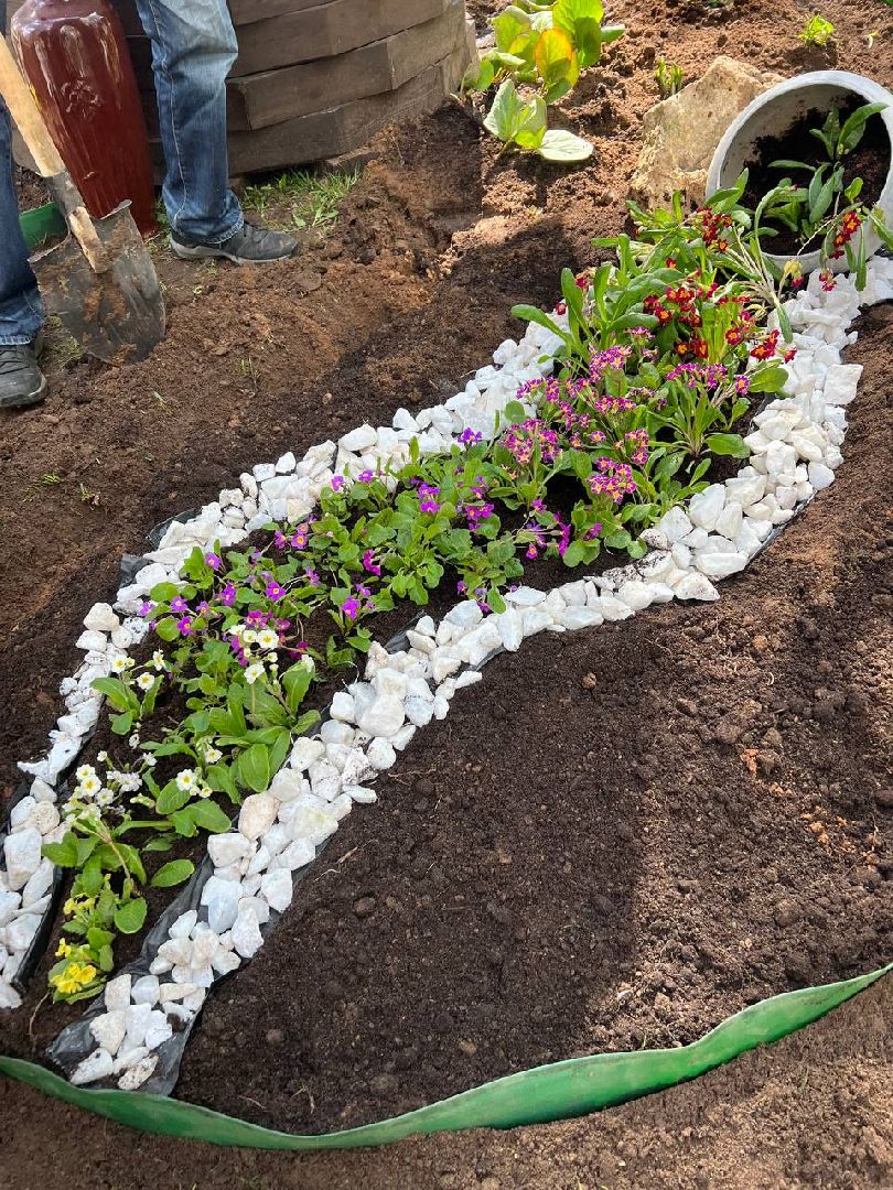 Солнечногорск, конкурс, клумба, кадеты, родители