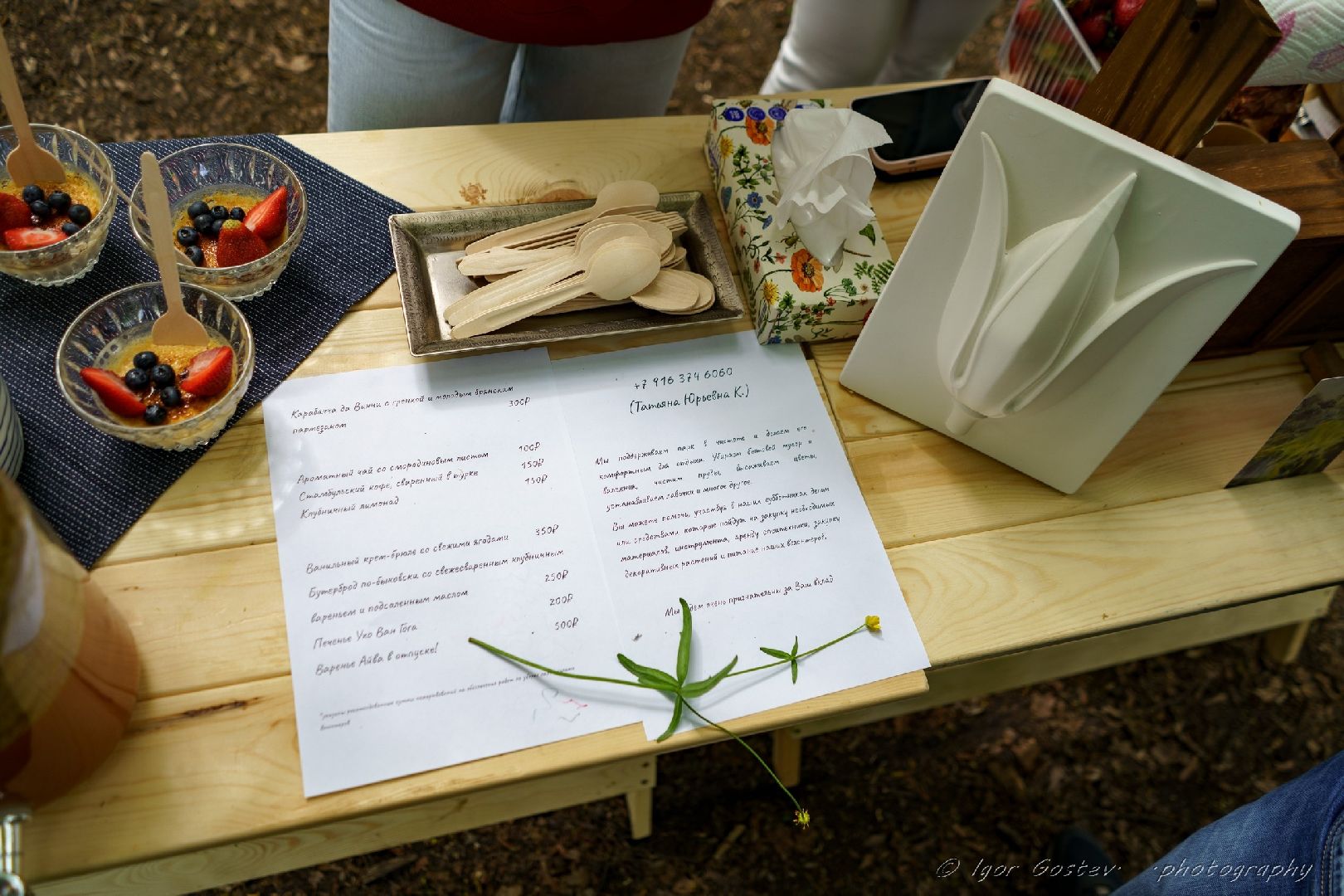 мастер-класс, живопись, акварель, усадьба, Быково