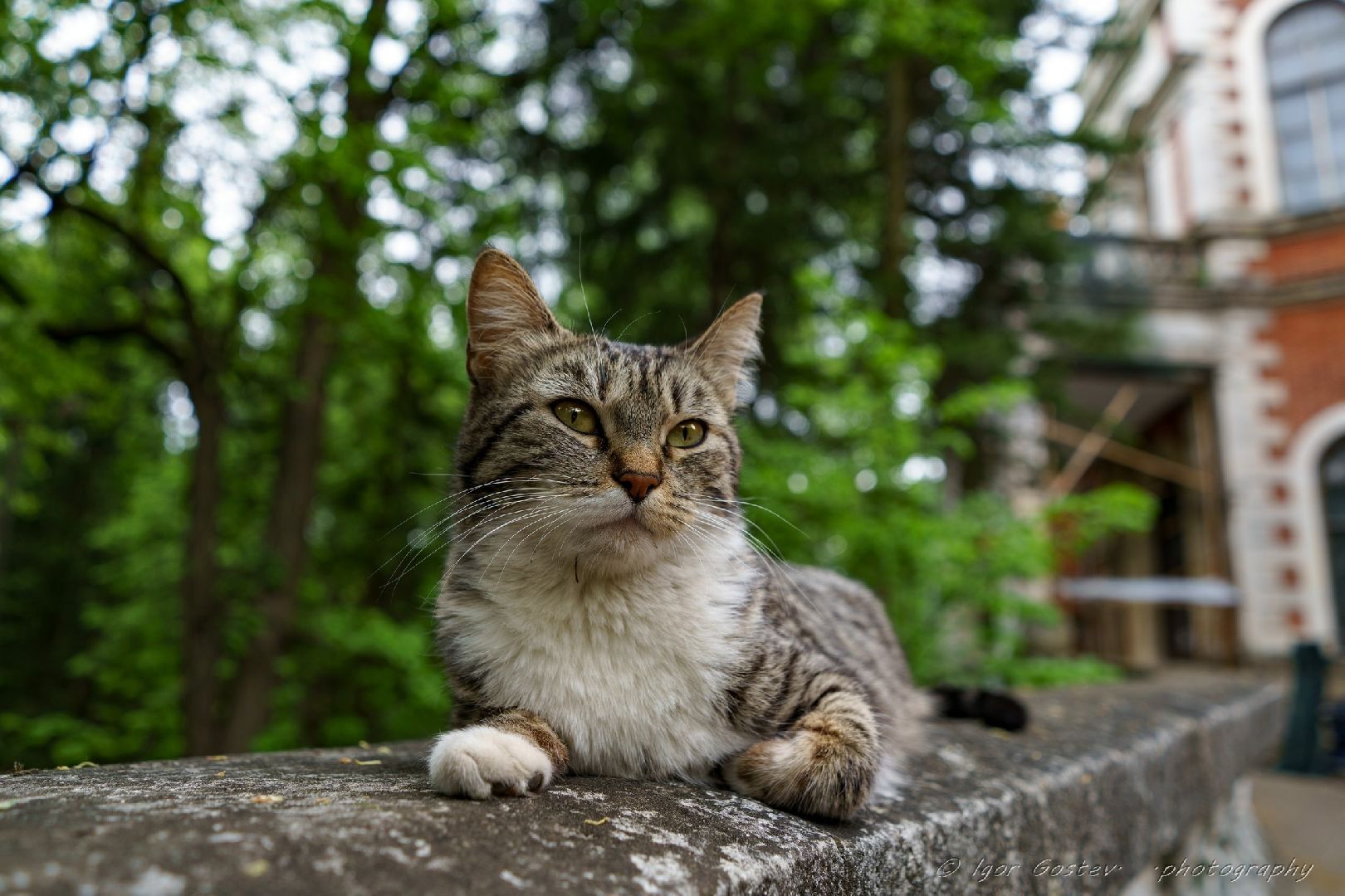 мастер-класс, живопись, акварель, усадьба, Быково
