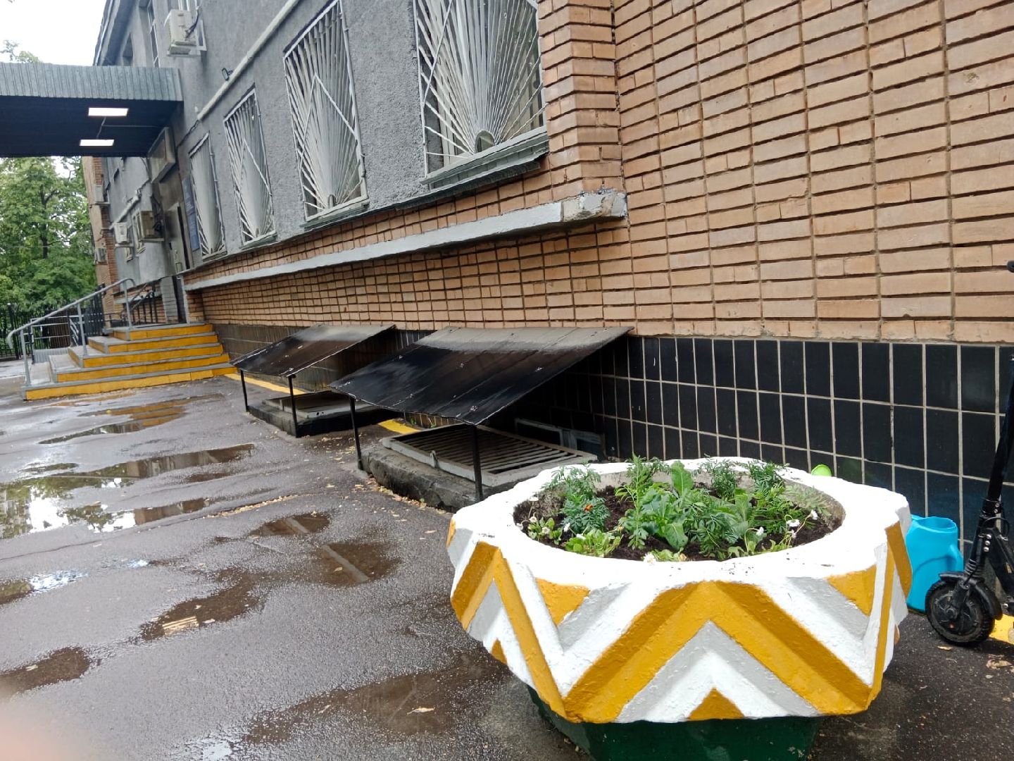 Город-сад, волонтёры, отдел, полиции, цветы