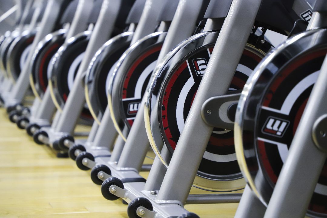 Домодедово, спорт