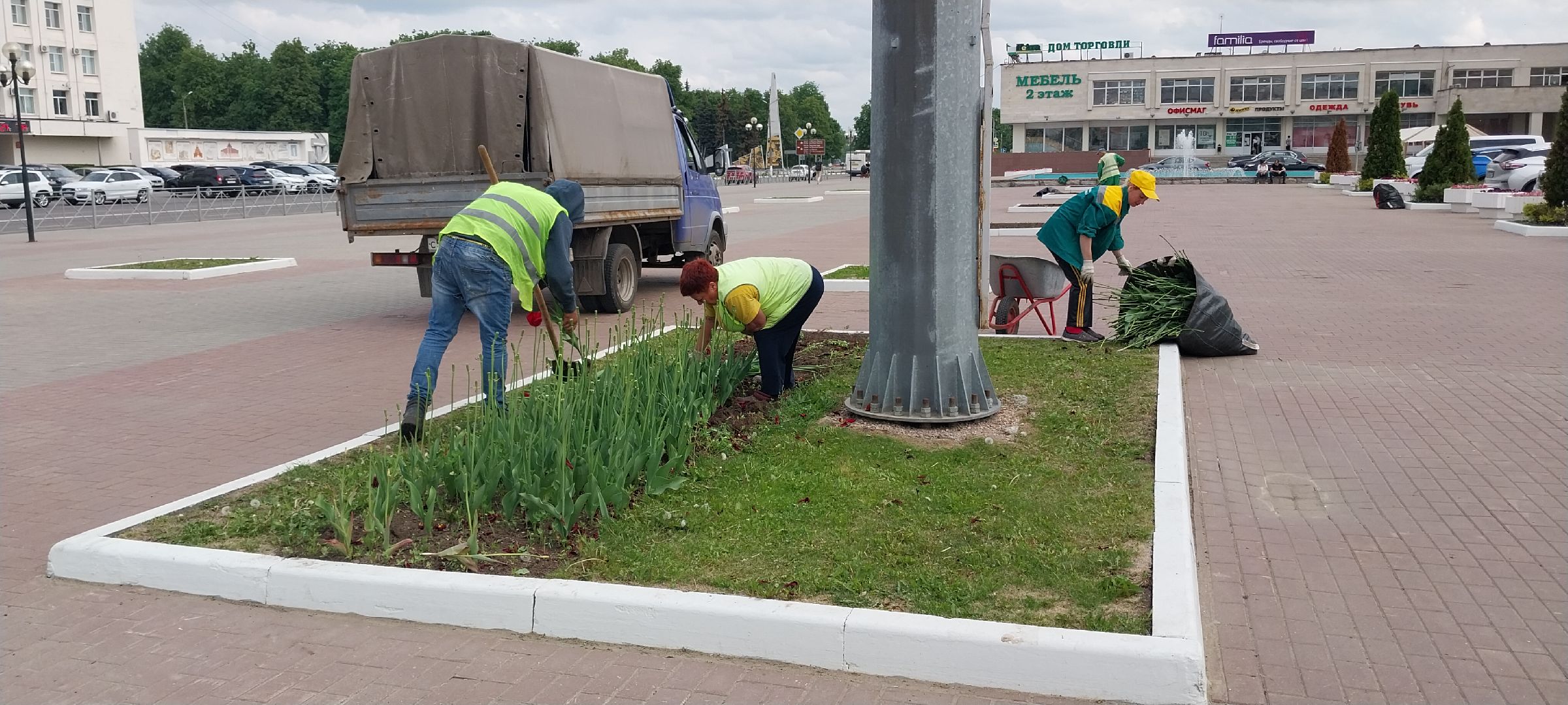 коломна, благоустройство, цветочное оформление