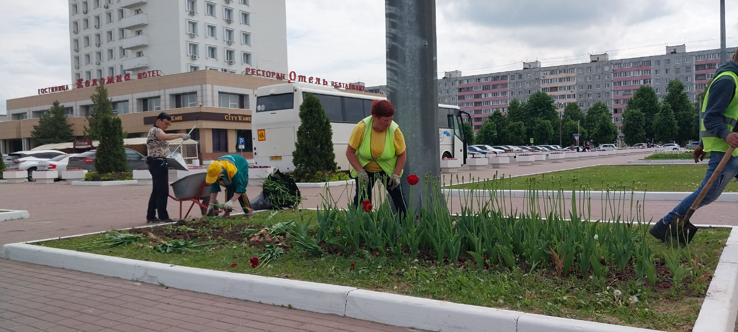 коломна, благоустройство, цветочное оформление