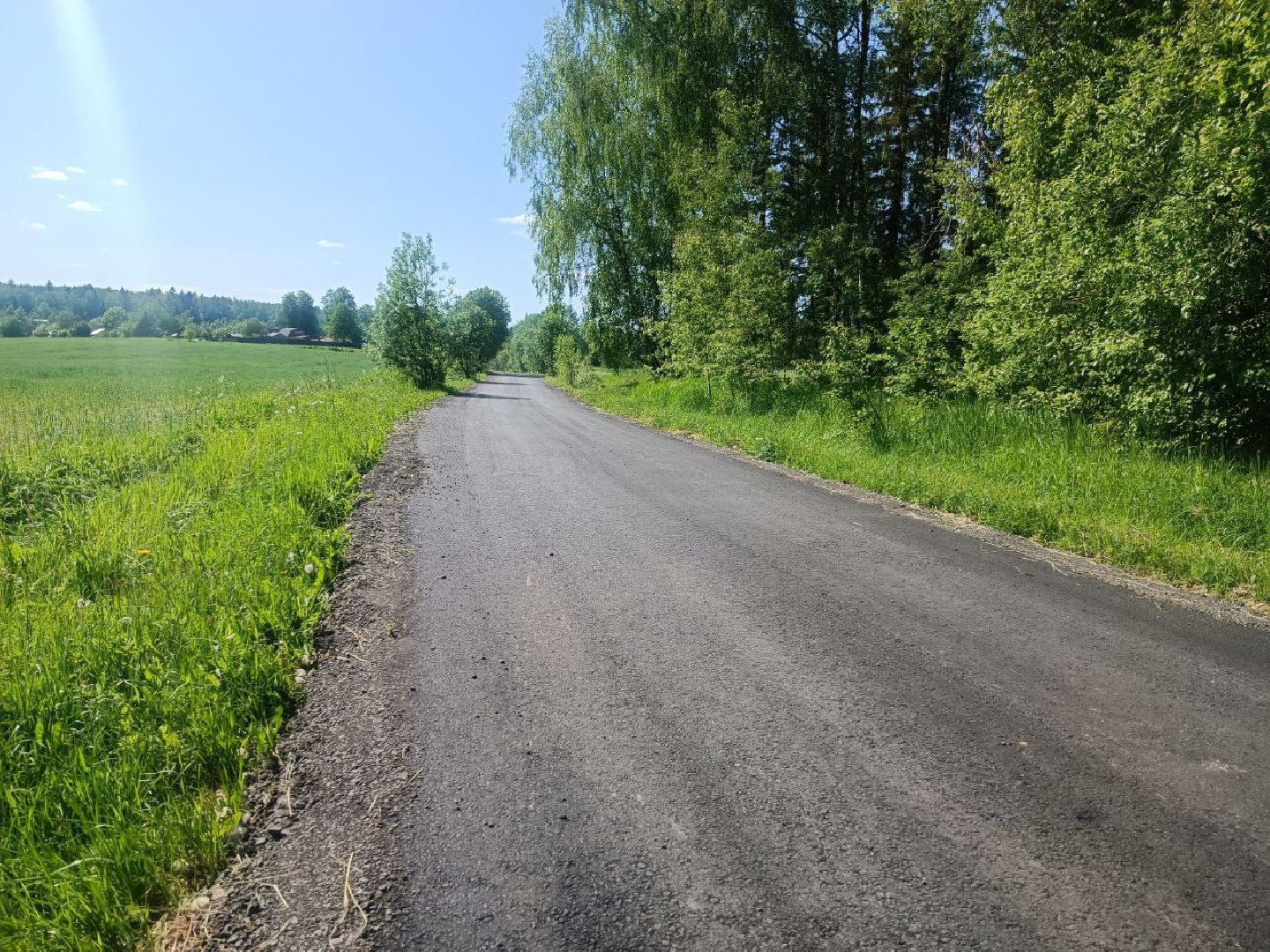 Можайск, Можайский городской округ, Подмосковье, дороги, ремонт дорог, деревня, Добродел, голосование