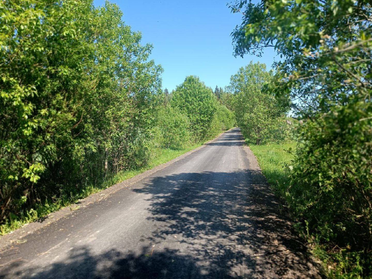 Можайск, Можайский городской округ, Подмосковье, дороги, ремонт дорог, деревня, Добродел, голосование