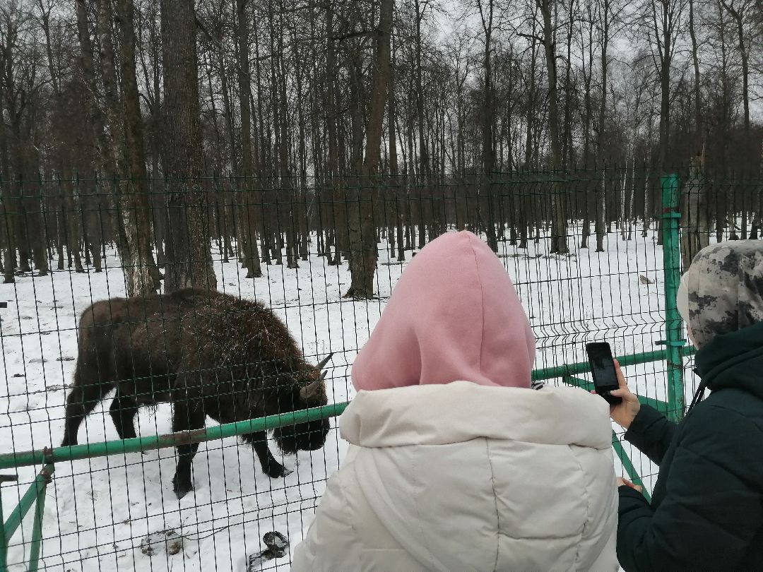 Протвино, Серпухов, образование, патриотизм