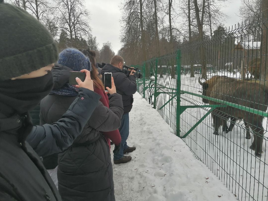 Протвино, Серпухов, образование, патриотизм