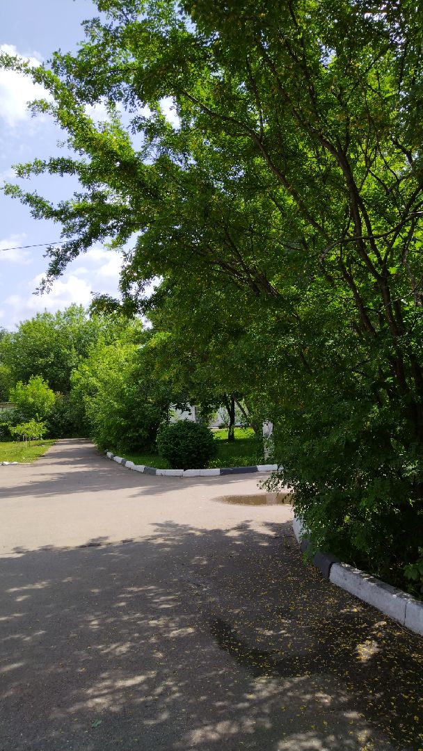 ЕГЭ, Мытищи, Образование