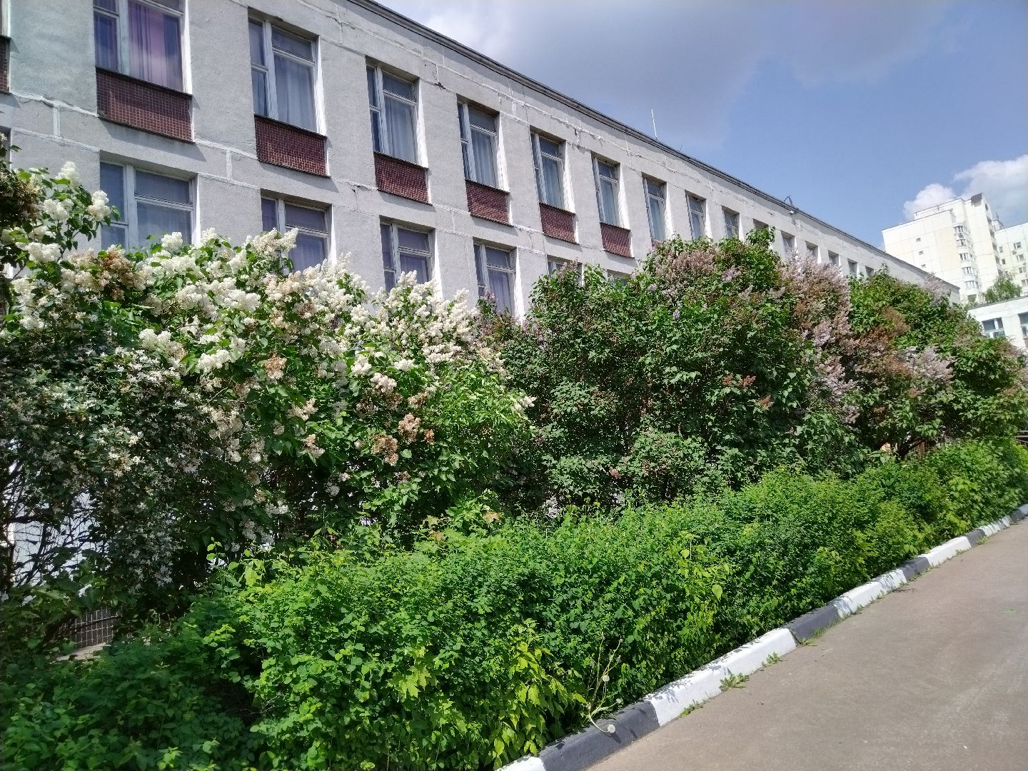 ЕГЭ, Мытищи, Образование