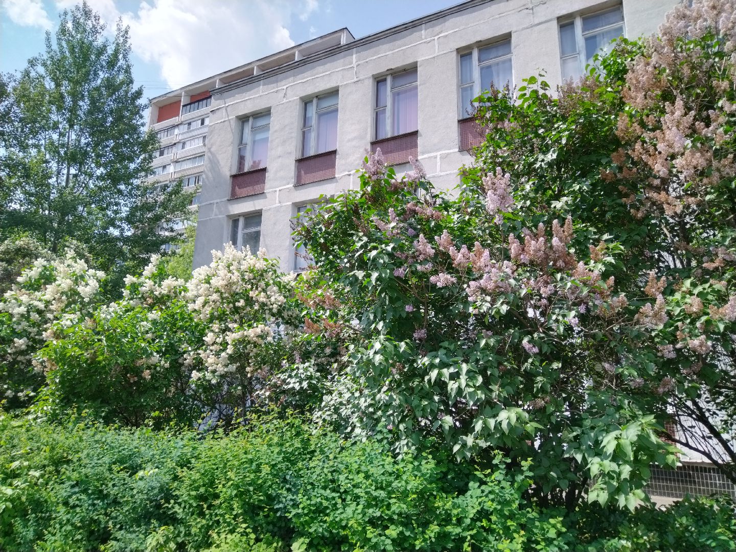 ЕГЭ, Мытищи, Образование